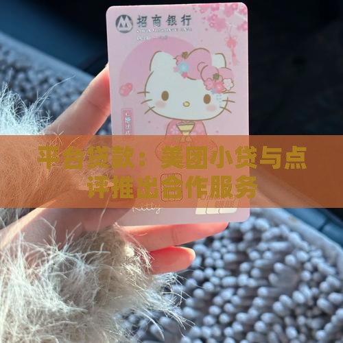 小贷是哪个平台的贷款