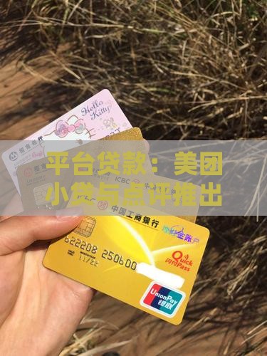 小贷是哪个平台的贷款