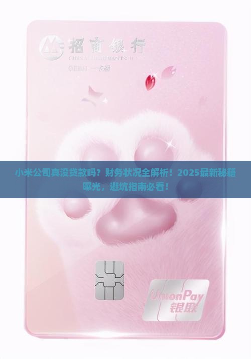 小米公司没贷款吗