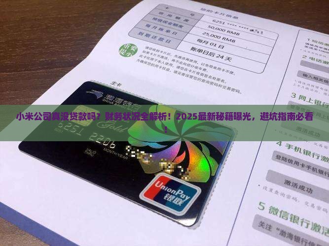 小米公司没贷款吗