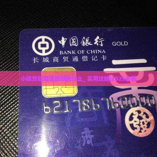 小额贷款经理都做些什么