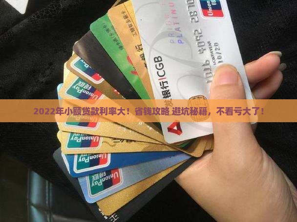2022年小额贷款利率