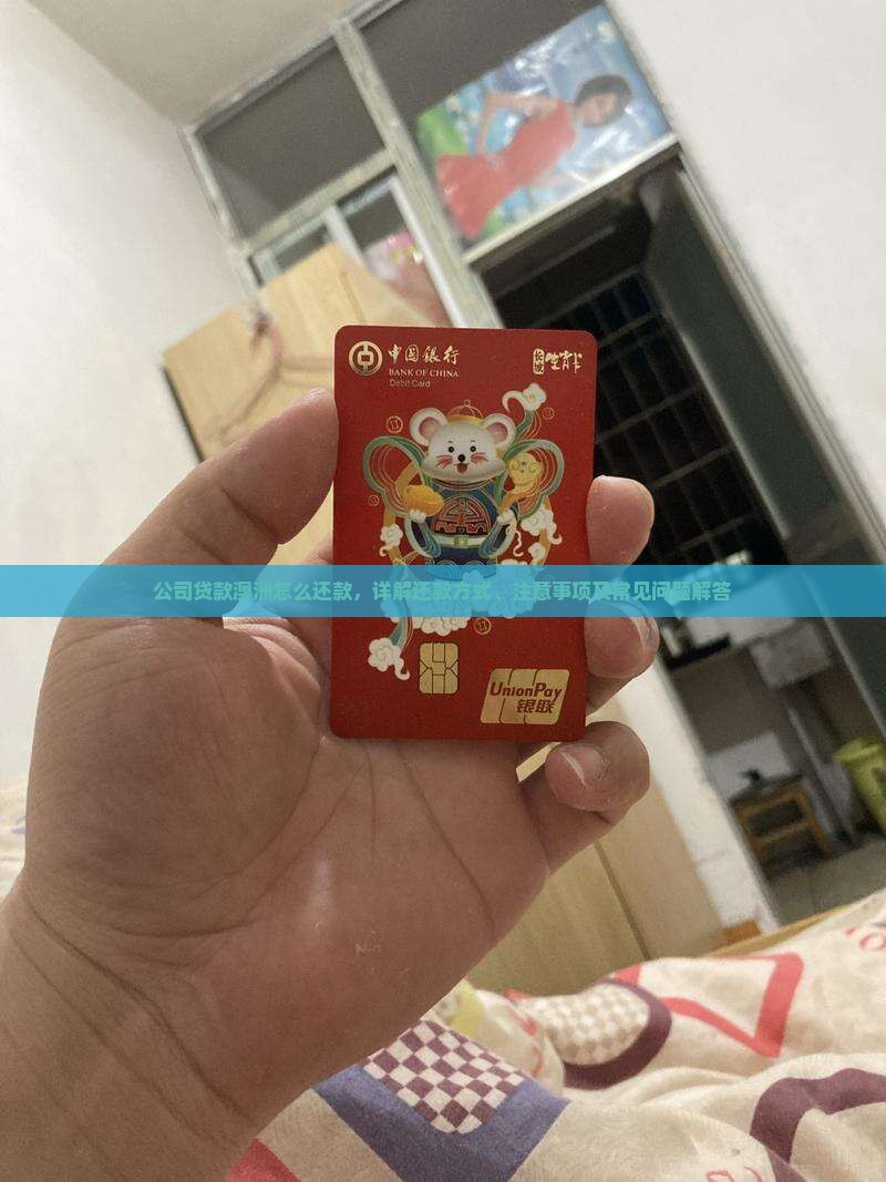 公司贷款澳洲怎么还款