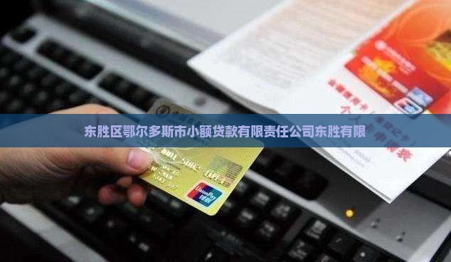 东胜区有小额贷款吗
