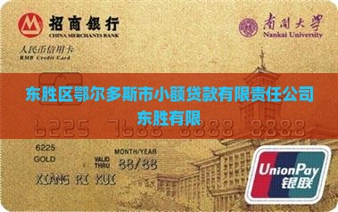 东胜区有小额贷款吗