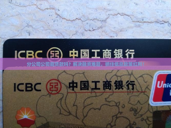 分公司的公司可以贷款吗