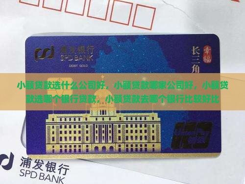 小额贷款选什么公司