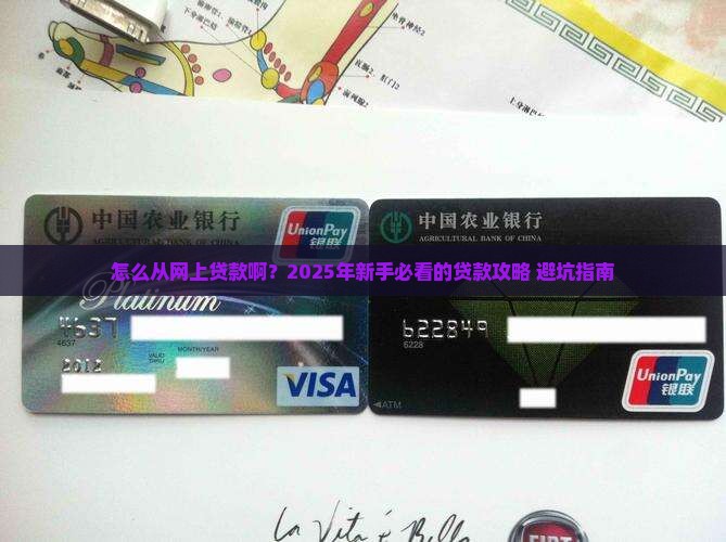 怎么从网上贷款啊