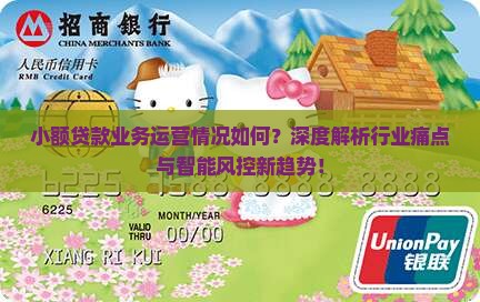 小额贷款业务运营情况