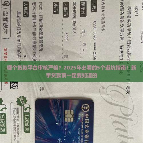 哪个贷款平台审核严格
