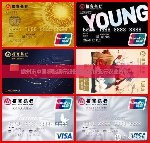 儋州市农业银行农业贷款