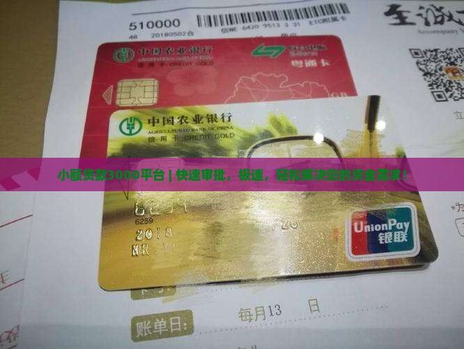 小额贷款3000平台