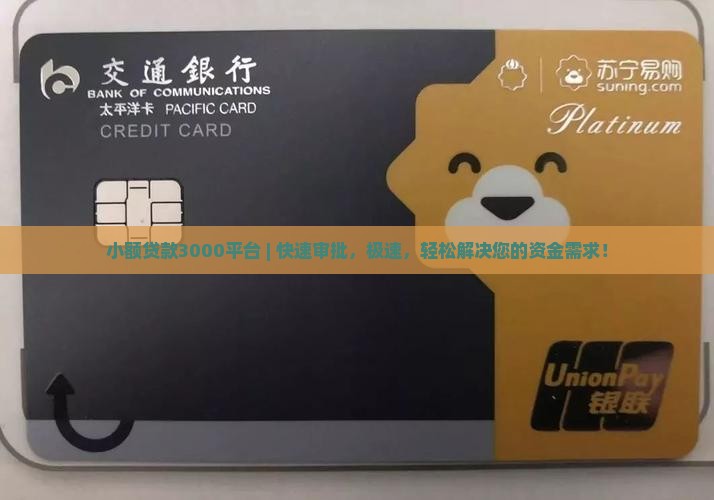 小额贷款3000平台