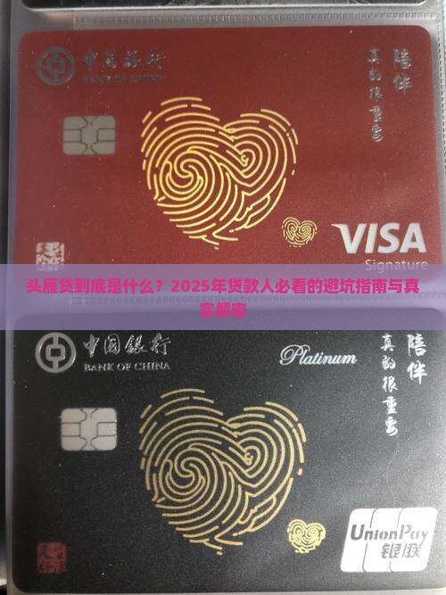 头雁贷是什么贷款平台