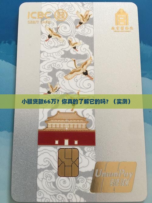 小额贷款66万