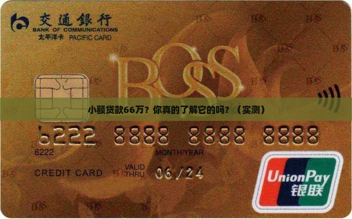 小额贷款66万
