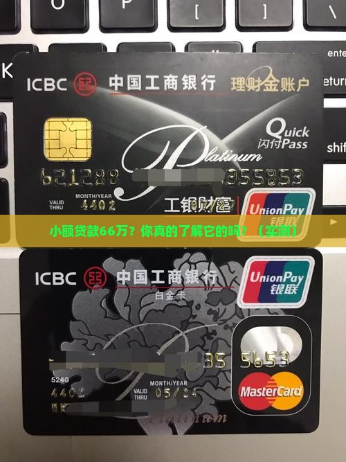 小额贷款66万