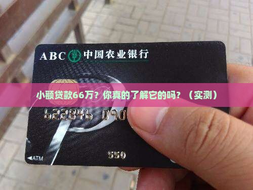 小额贷款66万