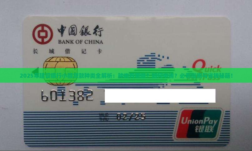 建设银行小额贷款种类