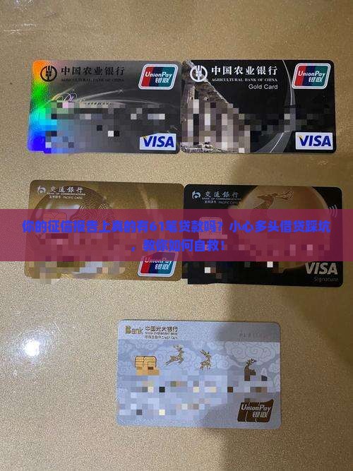 征信61笔贷款