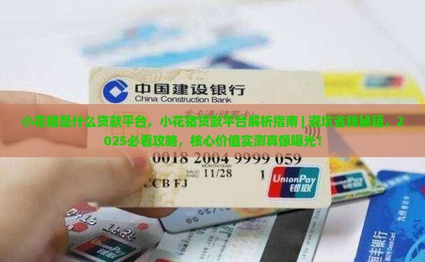 小花猪是什么贷款平台