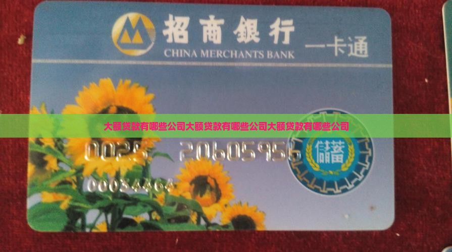 大额贷款有哪些公司