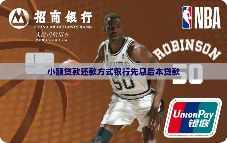 小额贷款先息后本贷款