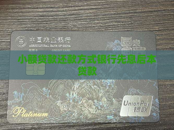 小额贷款先息后本贷款