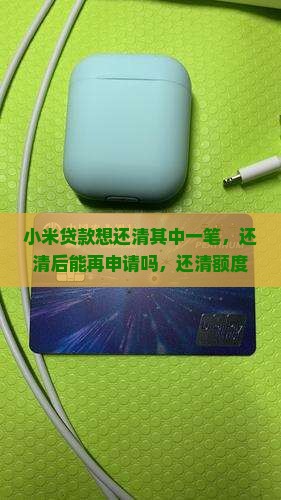 小米贷款想还清其中一笔
