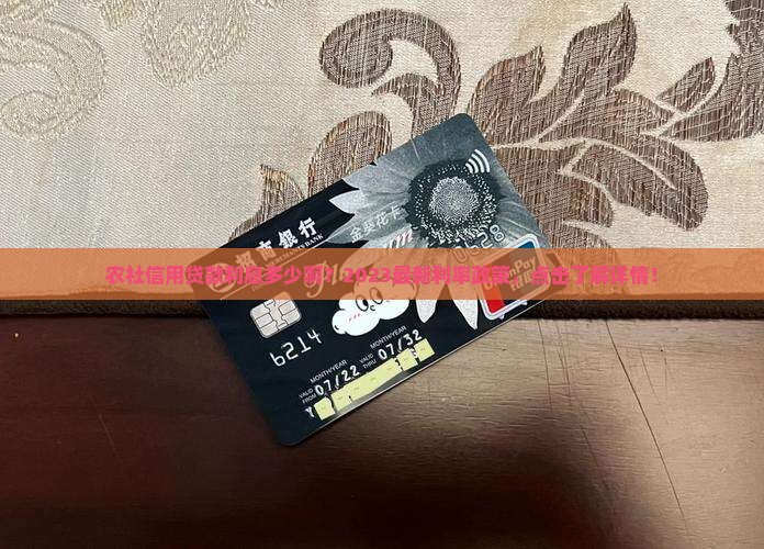 农社信用贷款利息多少啊