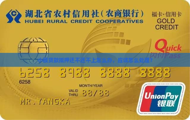 小额贷款抵押还不上