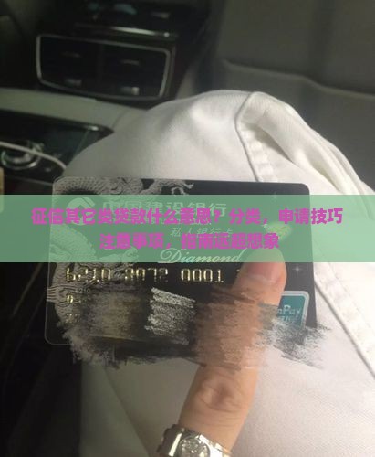 征信其它类贷款什么意思