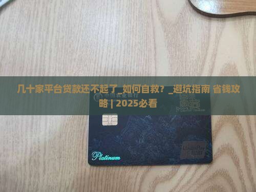 几十家平台贷款还不起了