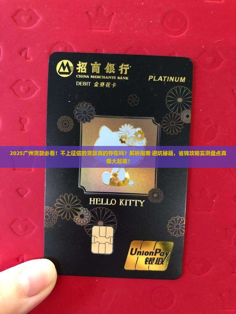 广州有不上征信的贷款吗