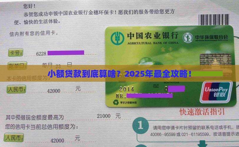 小额贷款属于那种