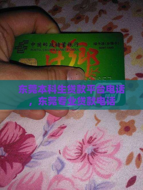 东莞本科生贷款平台电话