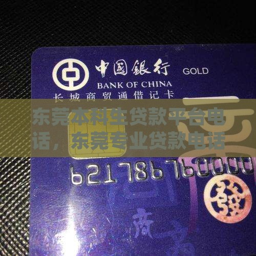 东莞本科生贷款平台电话