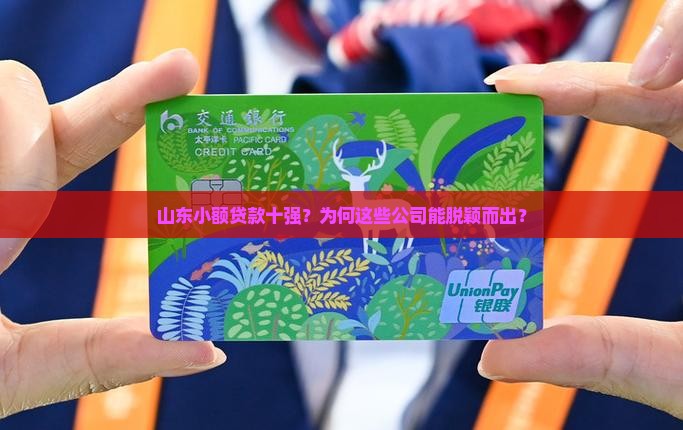 山东小额贷款十强