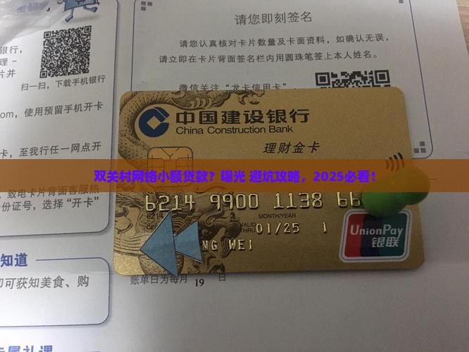 双关村网络小额贷款