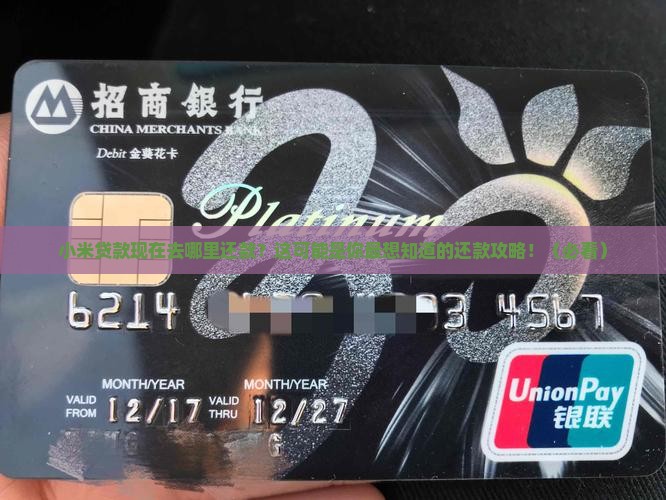 小米贷款现在去哪里还款