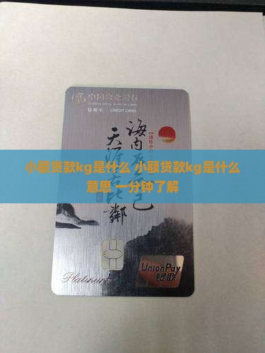 小额贷款kg是什么