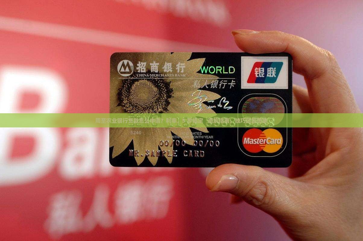 周至农业银行贷款