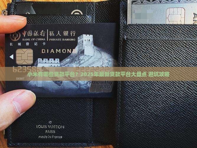 小米有哪些贷款平台