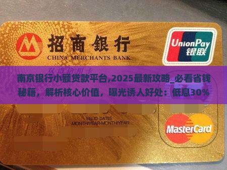 南京银行小额贷款平台