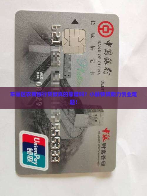 东丽区农商银行贷款