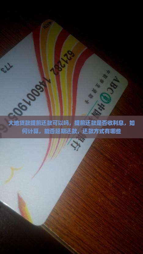大地贷款提前还款可以吗