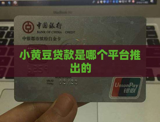 小黄豆贷款是哪个平台推出的