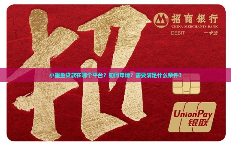 小墨鱼贷款在哪个平台？如何申请？需要满足什么条件？