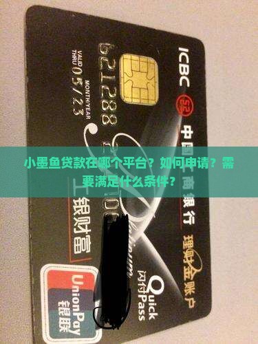 小墨鱼贷款在哪个平台？如何申请？需要满足什么条件？