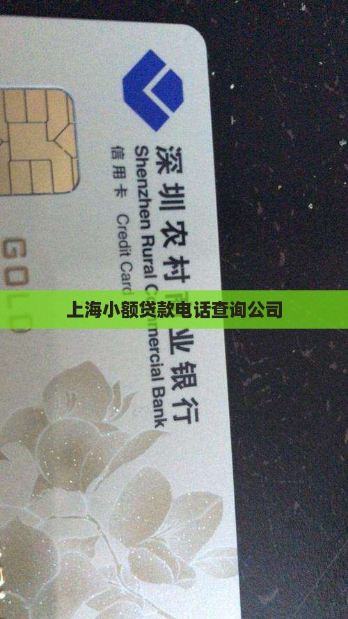 上海小额贷款电话查询公司